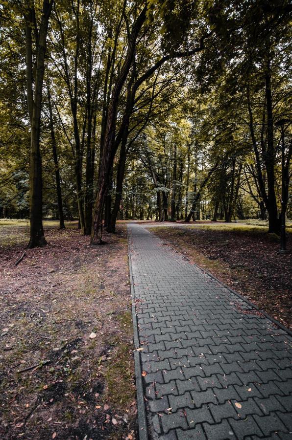 Apartament Deluxe Arcon Siemianowice Śląskie Extérieur photo